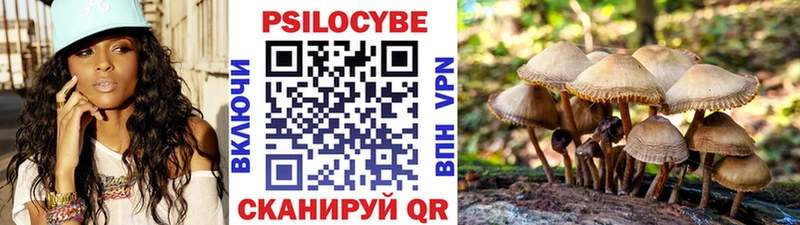 Купить закладки  Балашов  Псилоцибиновые грибы GOLDEN TEACHER 